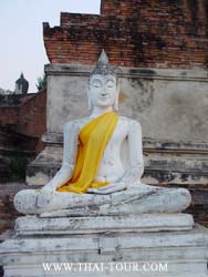 ����ͺ� ਴���