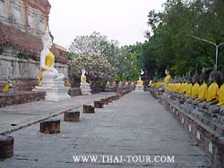 ����ҡ���ͺ� ਴��� (�����)